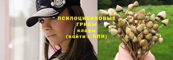 ешки Кинешма