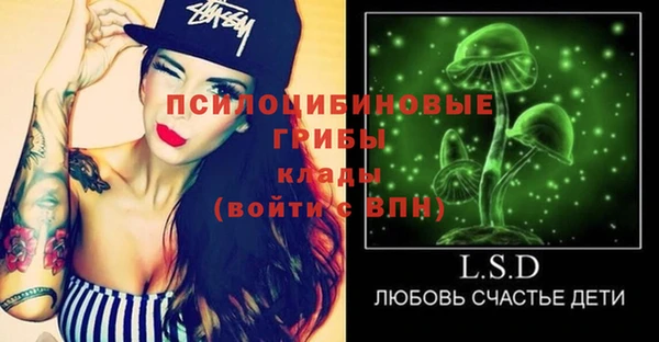 МДПВ Киренск