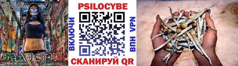 Купить закладки  Советский  Галлюциногенные грибы Psilocybe 